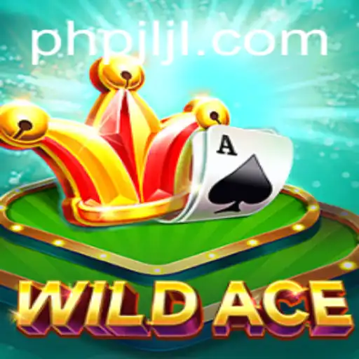 Discovering the Thrills of WildAce: A New Adventure in Gaming